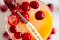 Cranberry Gin Fizz Cocktail Recipe — Sparkling Holiday Drink