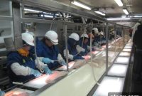 Marion Nestle Discusses Alaska’s Fishing Industry and Policy