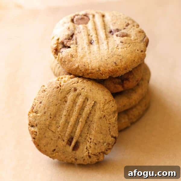 featured 1566