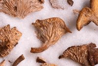 Foraging and Cooking Candy Cap Mushrooms: Complete Guide for Wild Harvests