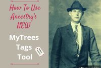 How to Use Ancestry.com MyTreeTags: Tagging Tips for Your Family Tree