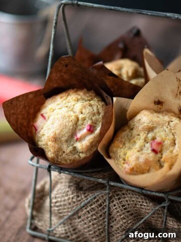 Rhubarb muffins in a metal basket with stalks of rhubarb to the side.