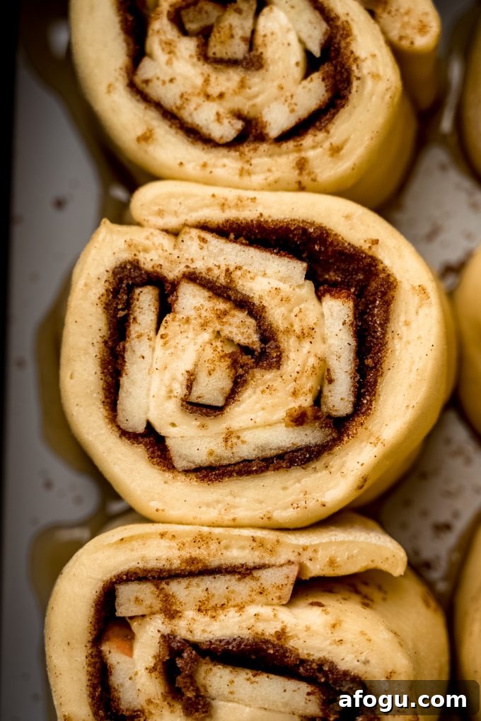 Apple cinnamon rolls sliced before baking.