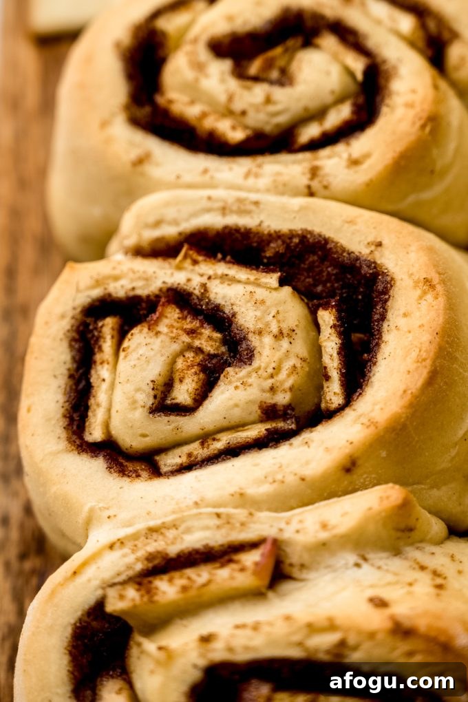 Apple cinnamon rolls that have been baked without frosting on them yet.