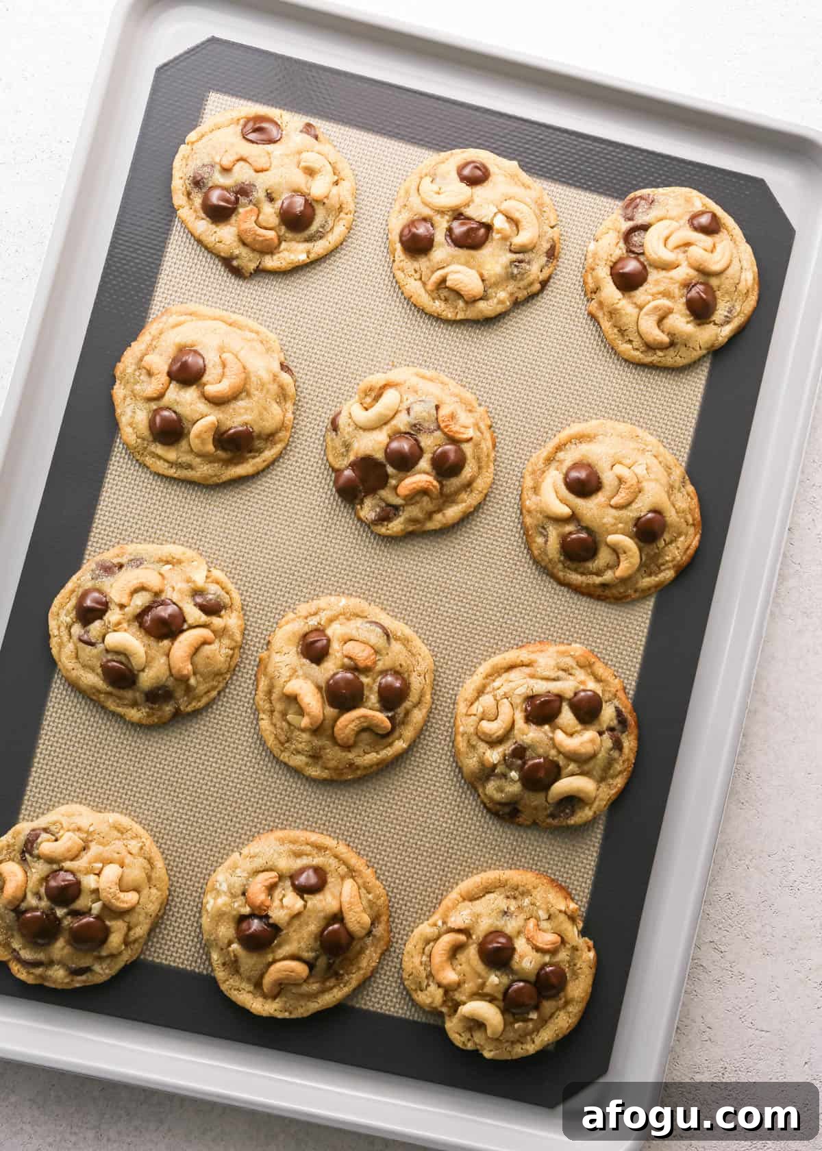 Chocolate Chip Cashew Cookies Recipe — Crunchy Homemade Treats 19 Chocolate chip cashew cookies: overhead photo of 12 chocolate chip cashew cookies on a baking sheet after they have finished baking.