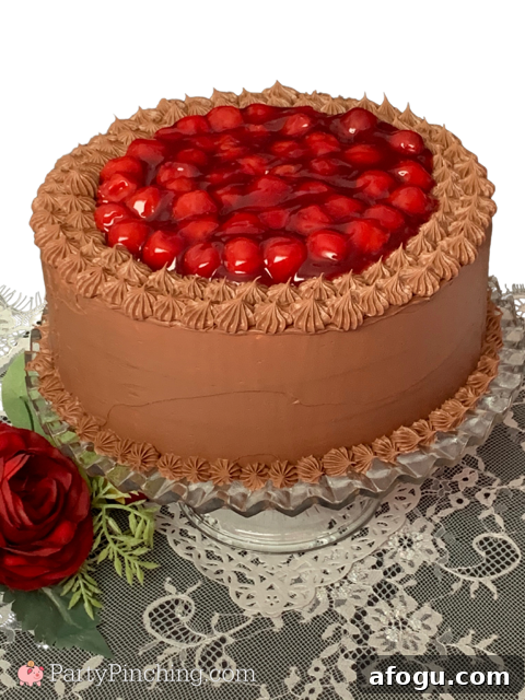 chocolate cherry cake, best chocolate cherry cake