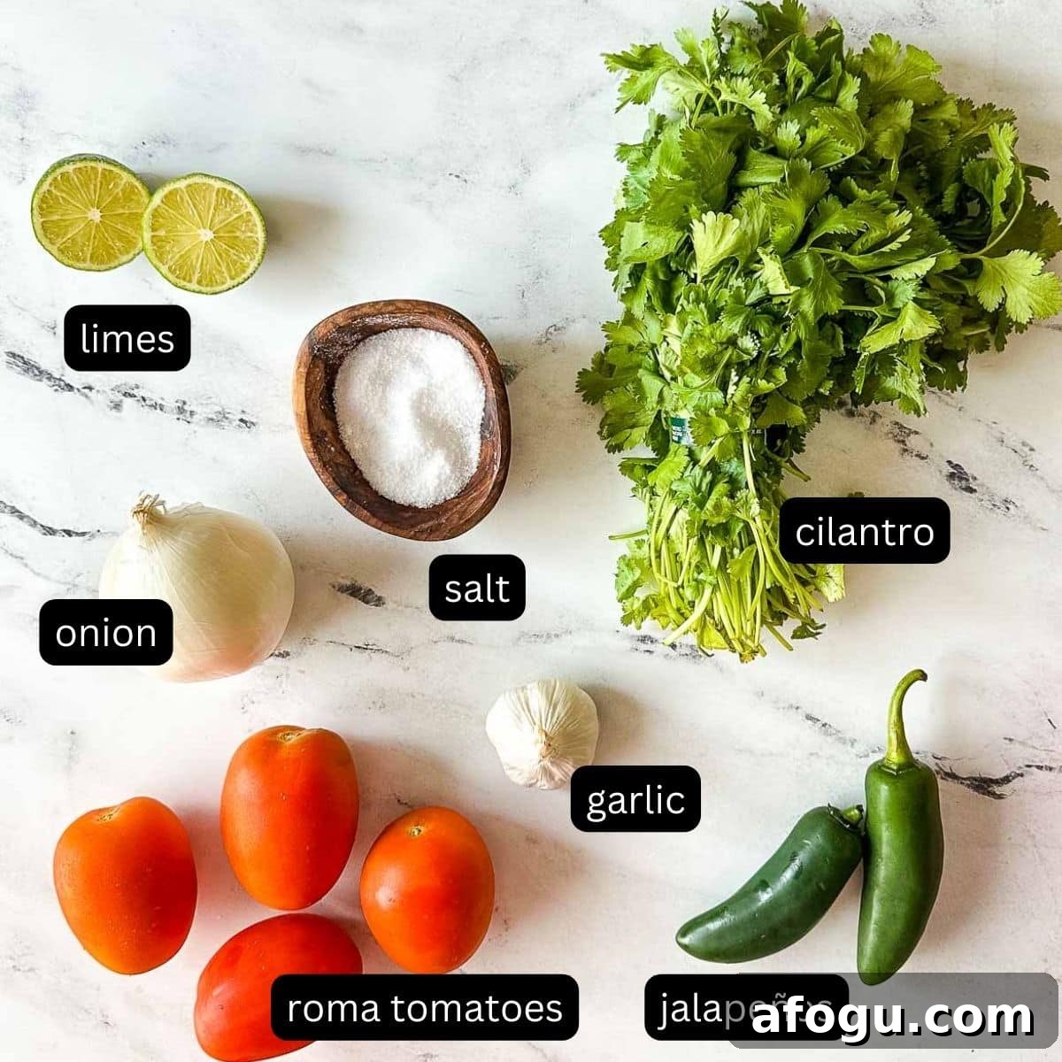 labeled ingredients for garden fresh salsa on a white marble counter.