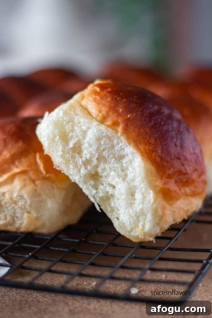 side view of the bread