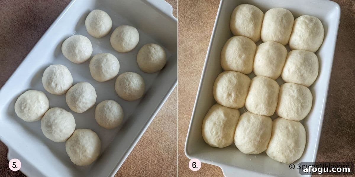 proving shaped dough into rolls