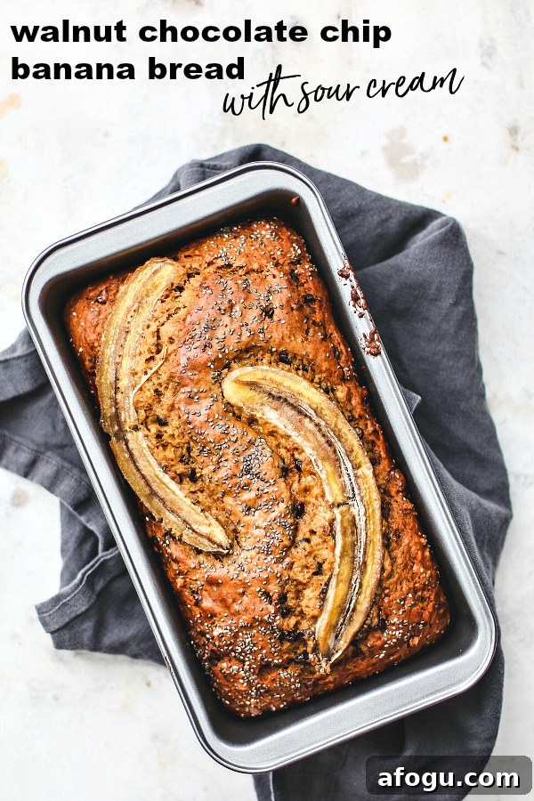 Walnut Chocolate Chip Banana Bread with Sour Cream Swirl 9 Walnut Chocolate Chip Banana Bread With Sour Cream