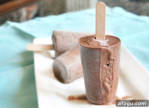 chocolate fudgsicles