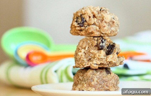 breakfast cookies