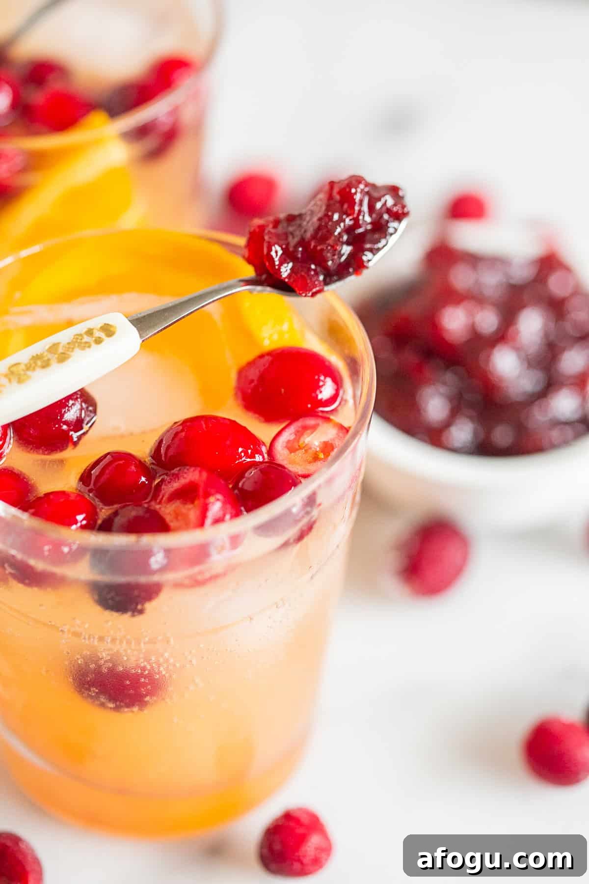 Cranberry Gin Fizz Cocktail Recipe — Sparkling Holiday Drink 2 Cranberry Gin Fizz served with extra cranberry sauce.