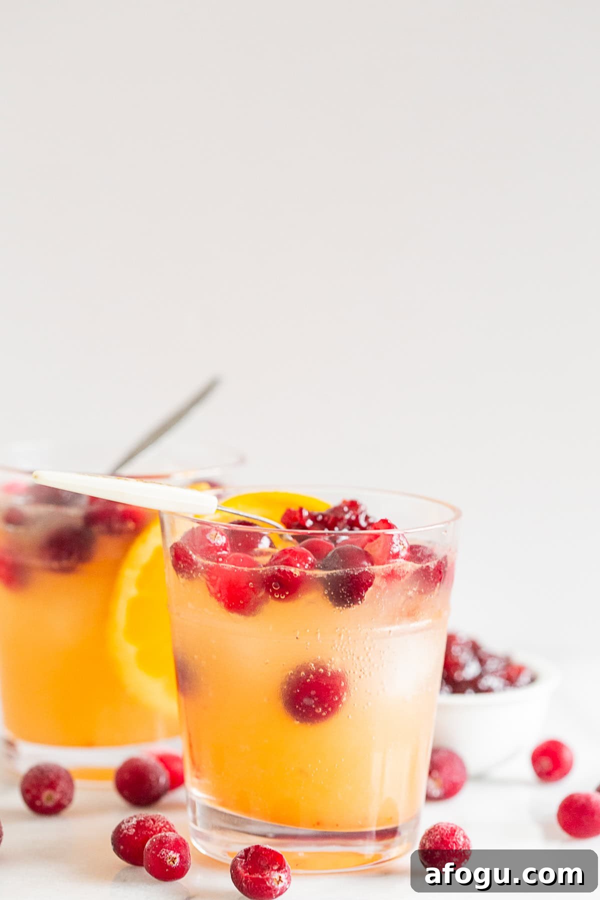 Cranberry Gin Fizz Cocktail Recipe — Sparkling Holiday Drink 4 Cranberry Gin Fizz in a glass with orange garnish.