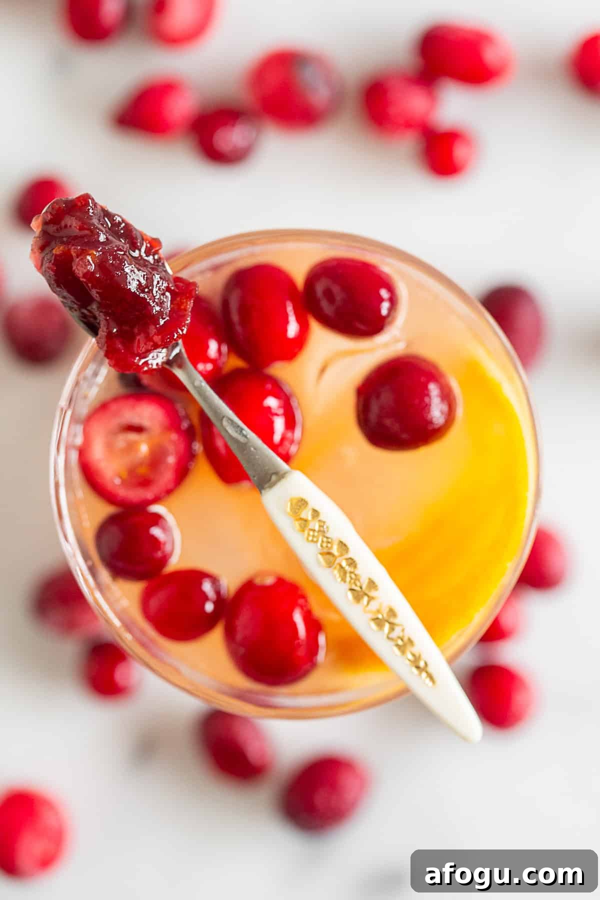 Cranberry Gin Fizz Cocktail Recipe — Sparkling Holiday Drink 5 Cranberry Gin Fizz in a glass with a tiny spoon served on top with extra cranberry sauce.