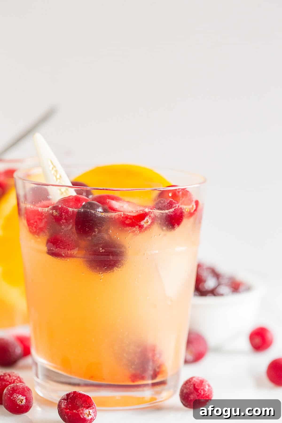 Cranberry Gin Fizz Cocktail Recipe — Sparkling Holiday Drink 6 Cranberry Gin Fizz in a glass with cranberry garnish.