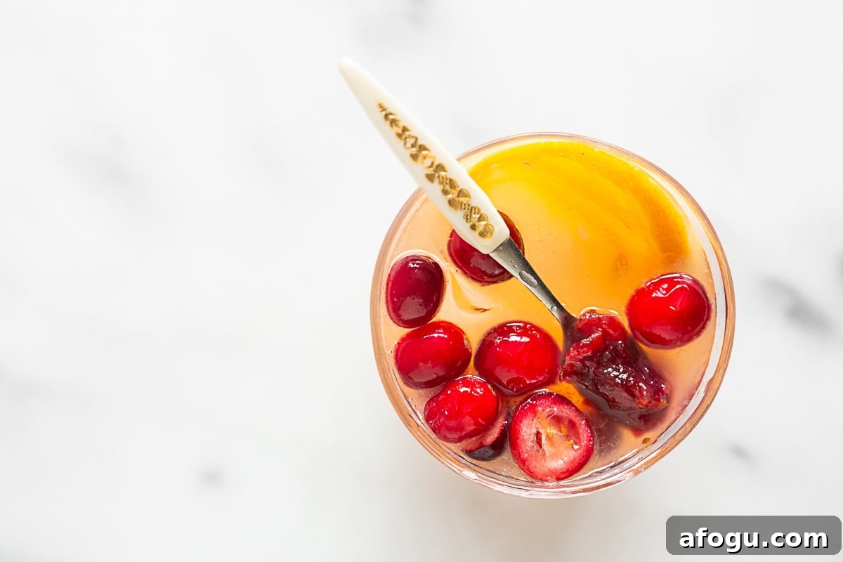 Cranberry Gin Fizz Cocktail Recipe — Sparkling Holiday Drink 7 Cranberry Gin Fizz in a glass.