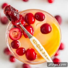 Cranberry Gin Fizz Cocktail Recipe — Sparkling Holiday Drink 8 img 14786 7