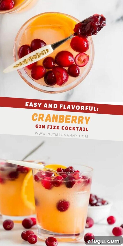 Cranberry Gin Fizz Cocktail Recipe — Sparkling Holiday Drink 9 Cranberry Gin Fizz pin for Pinterest.