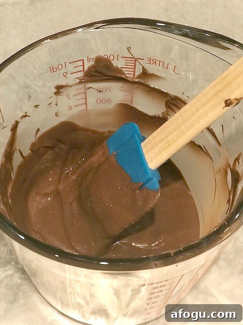 Ina Garten Chocolate Chip Cookies Copycat Recipe 3 img 15324 2