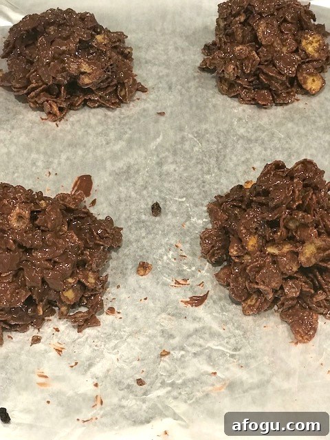 Ina Garten Chocolate Chip Cookies Copycat Recipe 6 img 15324 5