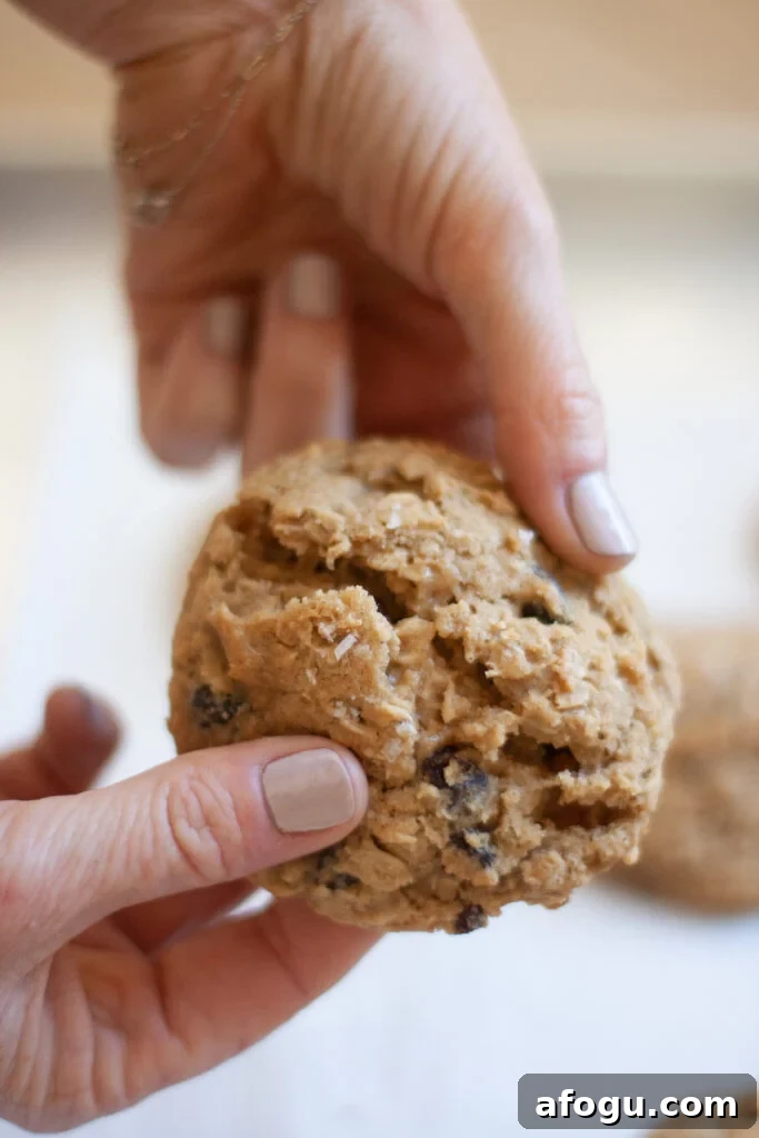 Brown Butter Oatmeal Raisin Cookies Recipe — Chewy & Flavorful 4 broken oatmeal cookie with hand