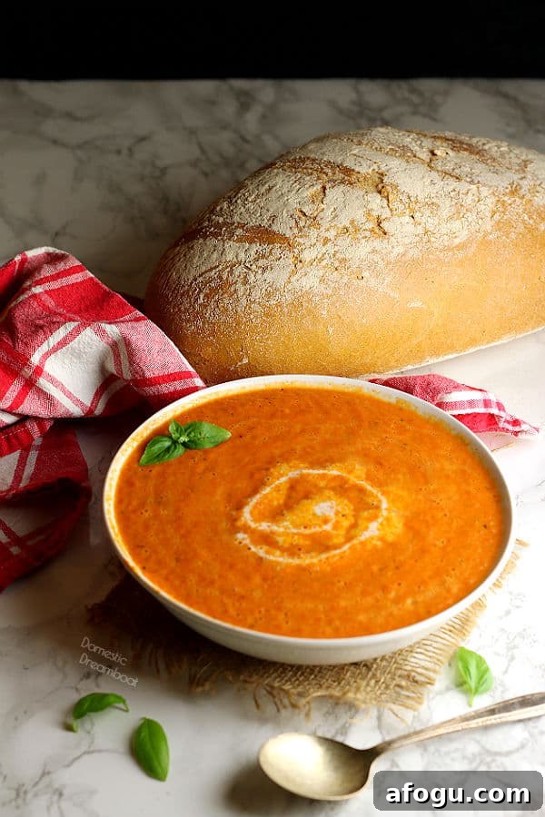 Leftover Rotisserie Chicken Noodle Soup Recipe for Quick Comfort 7 Cream of Tomato Soup in a White bowl