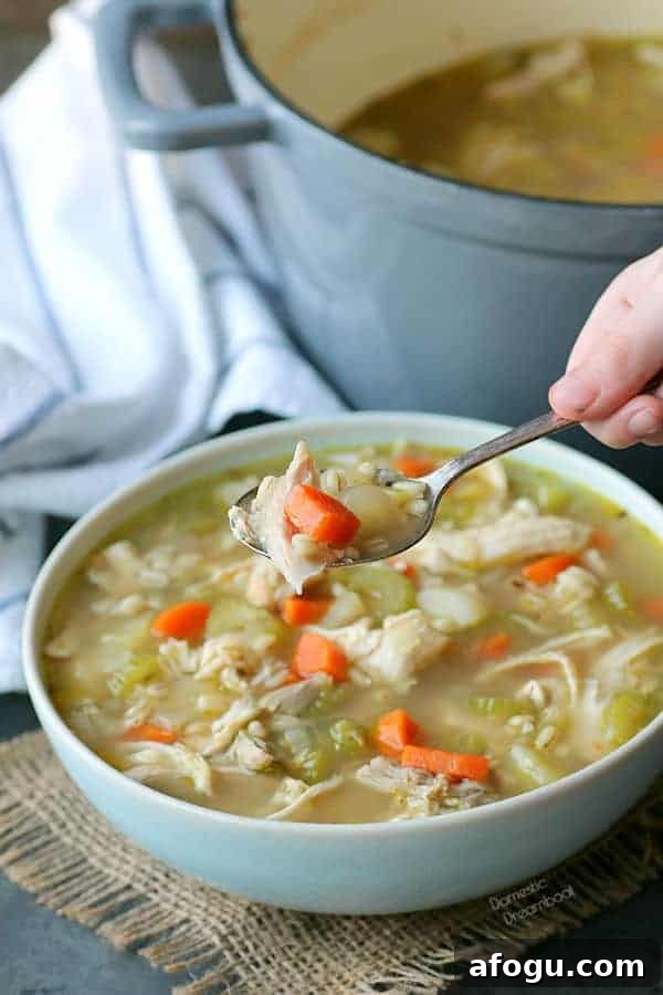 Leftover Rotisserie Chicken Noodle Soup Recipe for Quick Comfort 8 A spoon of chicken barley soup held over a bowl of soup.