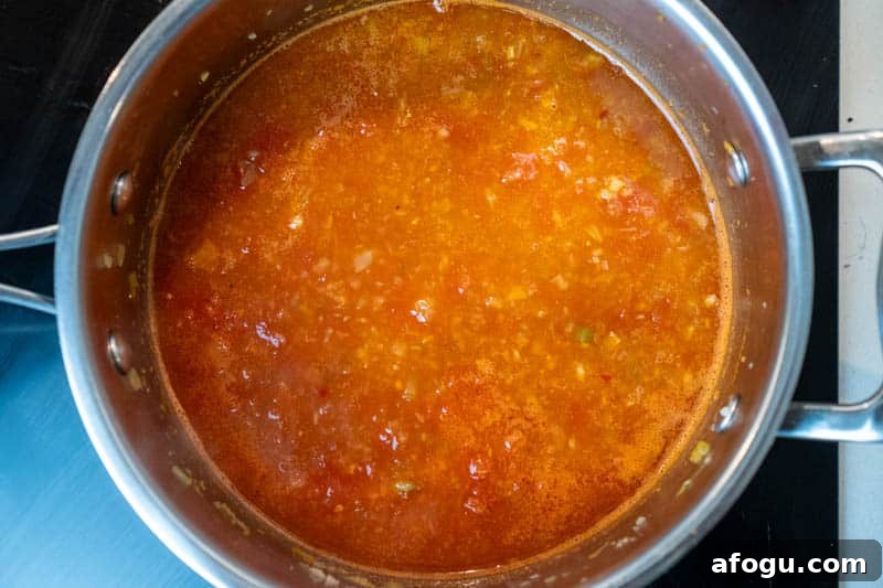 Adding the stock, tomatoes & sultanas