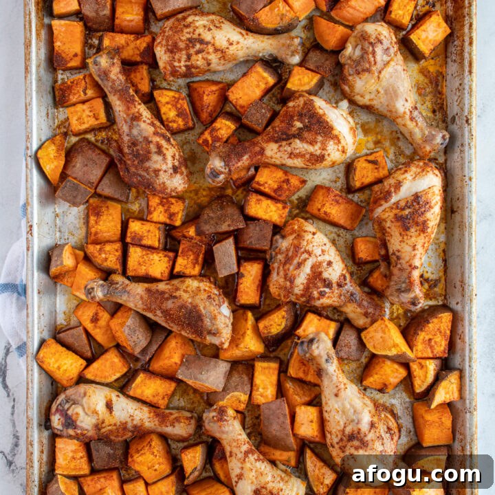 Overhead view of a sheet pan with baked chicken legs and sweet potatoes all covered in seasoning.