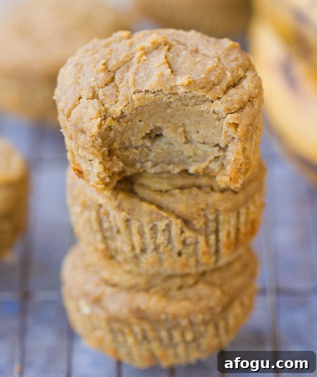 blender muffins