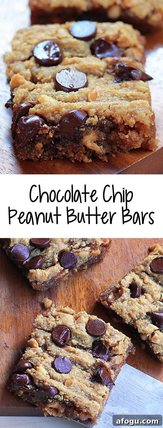 The Best Chocolate Chip Peanut Butter Bars Recipe