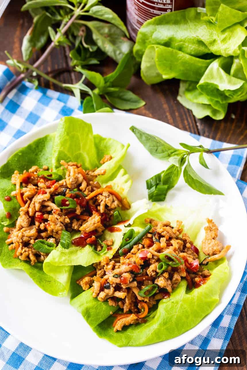 Spicy Thai Basil Chicken Lettuce Wraps