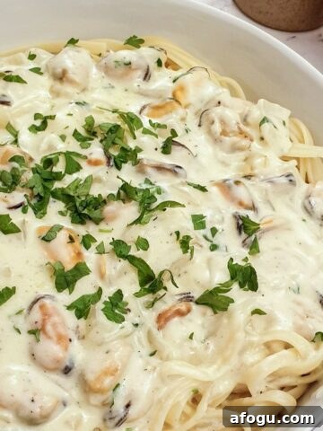 Close up view of a plate of creamy mussel pasta on a bed of linguine.