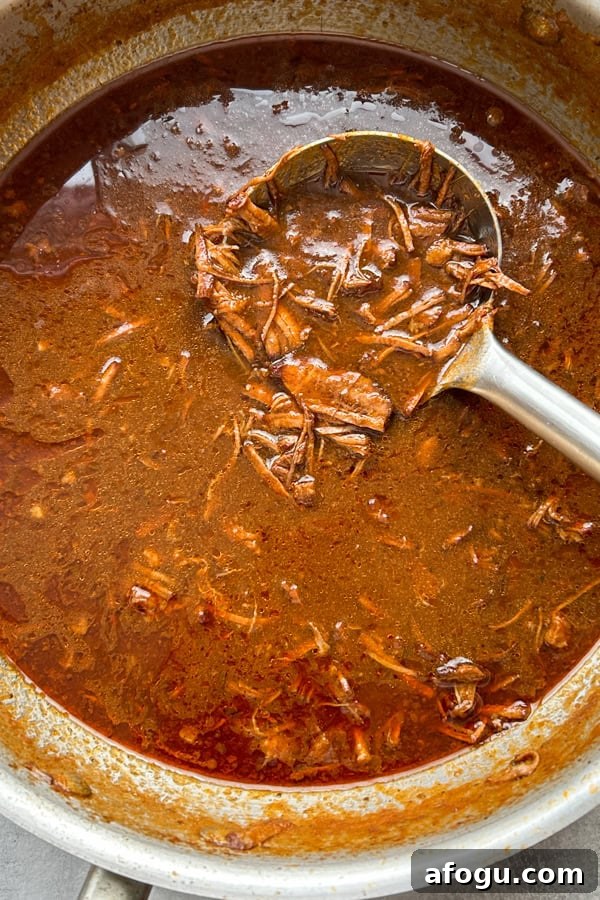 Mexican Birria Beef
