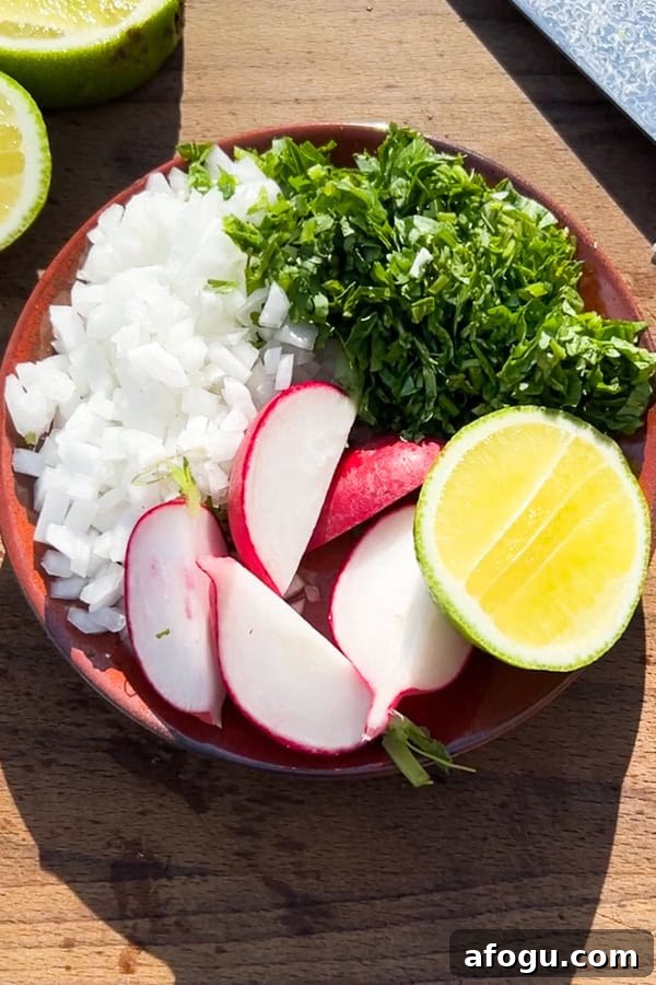 Mexican Birria garnishes