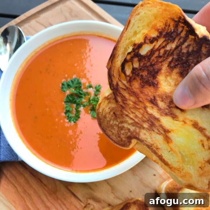 World's Best Tomato Soup