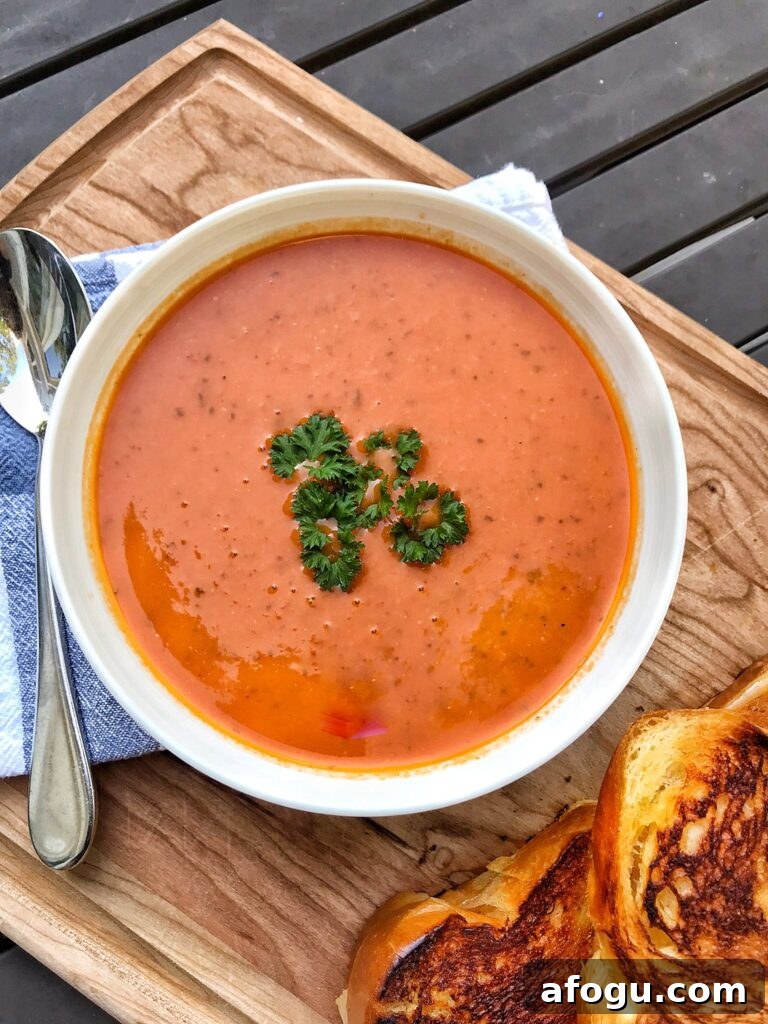 Tomato soup in a white bowl, seen from above