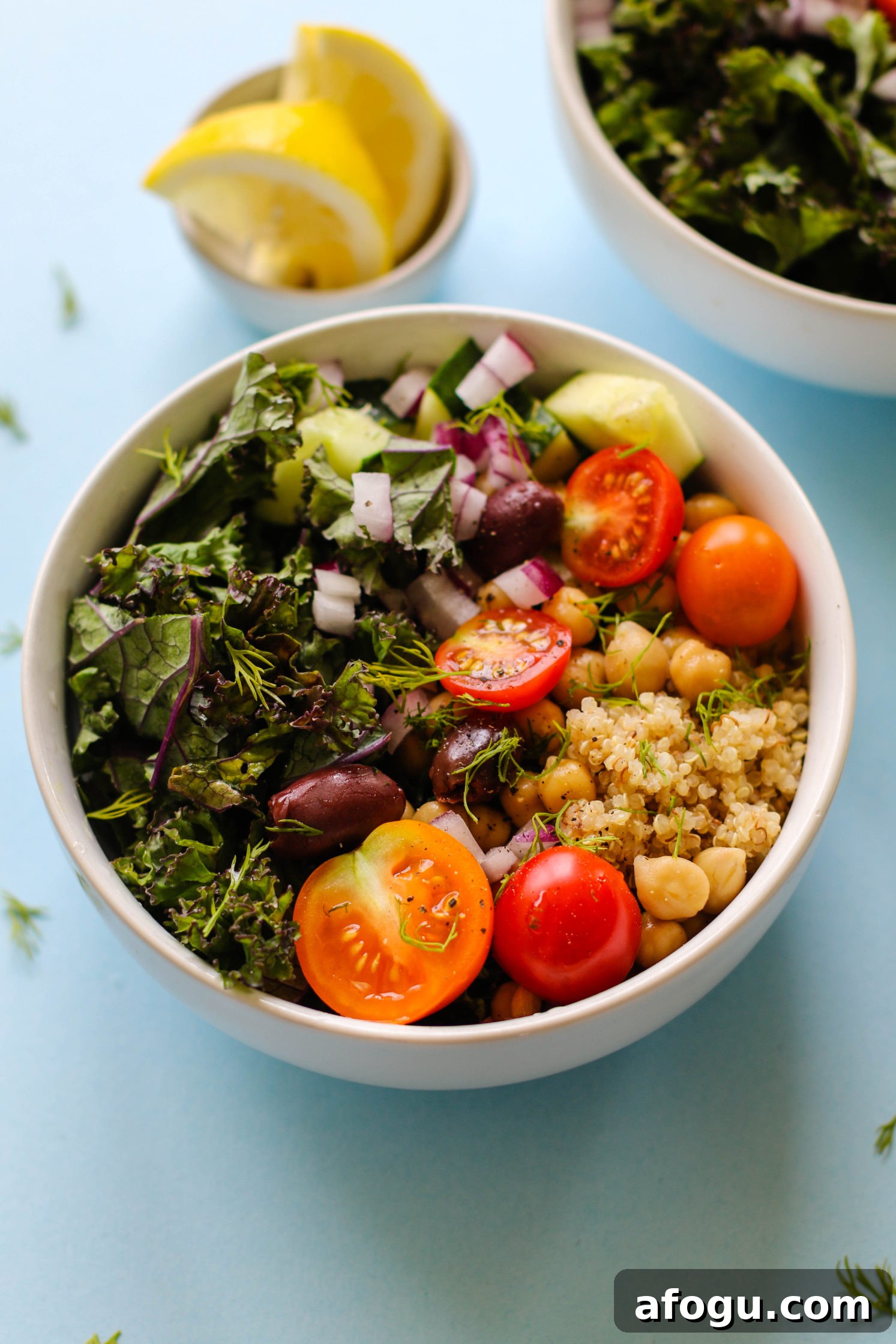 Greek Power Bowls with Cucumber Yogurt Tzatziki Sauce by Flora & Vino