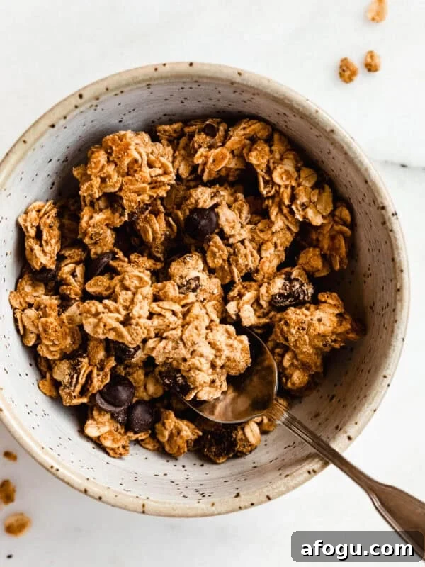 a bowl of cookie dough granola with a spoon in it.