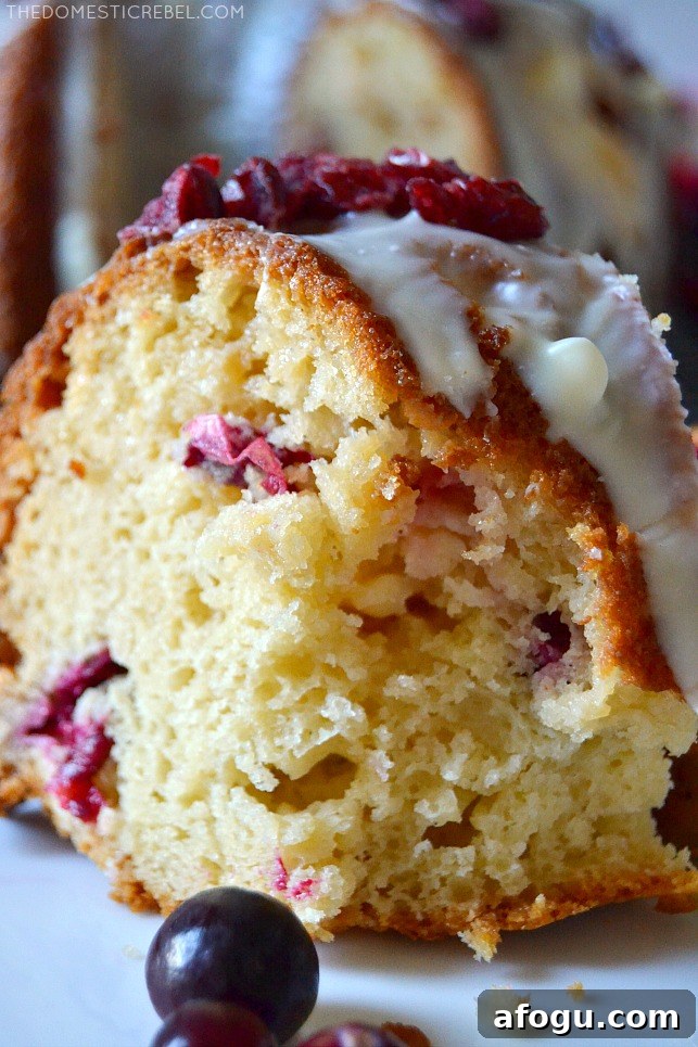 Closeup of a slice of white chocolate cranberry cake with bite missing