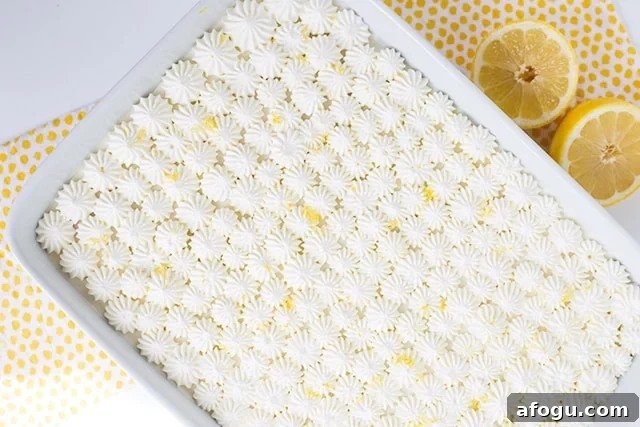 Blueberry lemon icebox cake top view