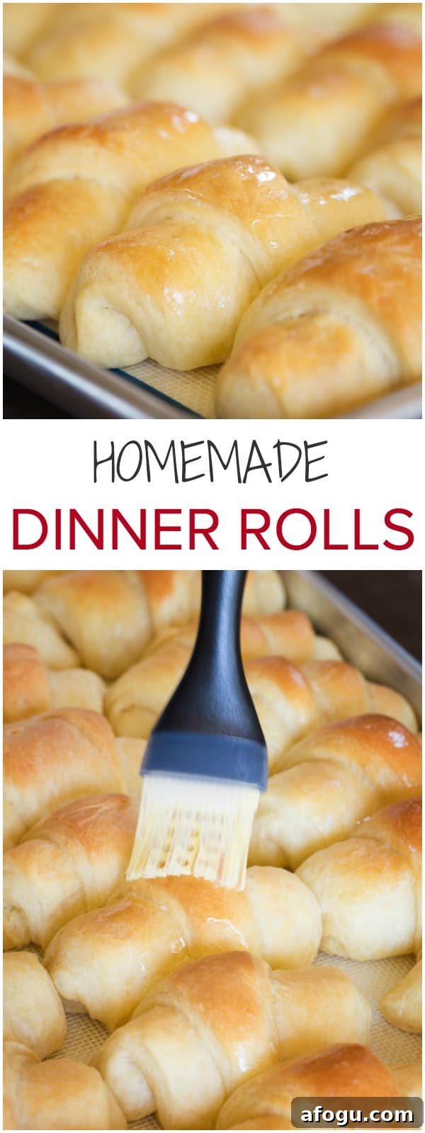 These rich and buttery homemade dinner rolls with soft and tender crumbs will fill your house with unbelievably delicious aroma, an extra perk for sure.