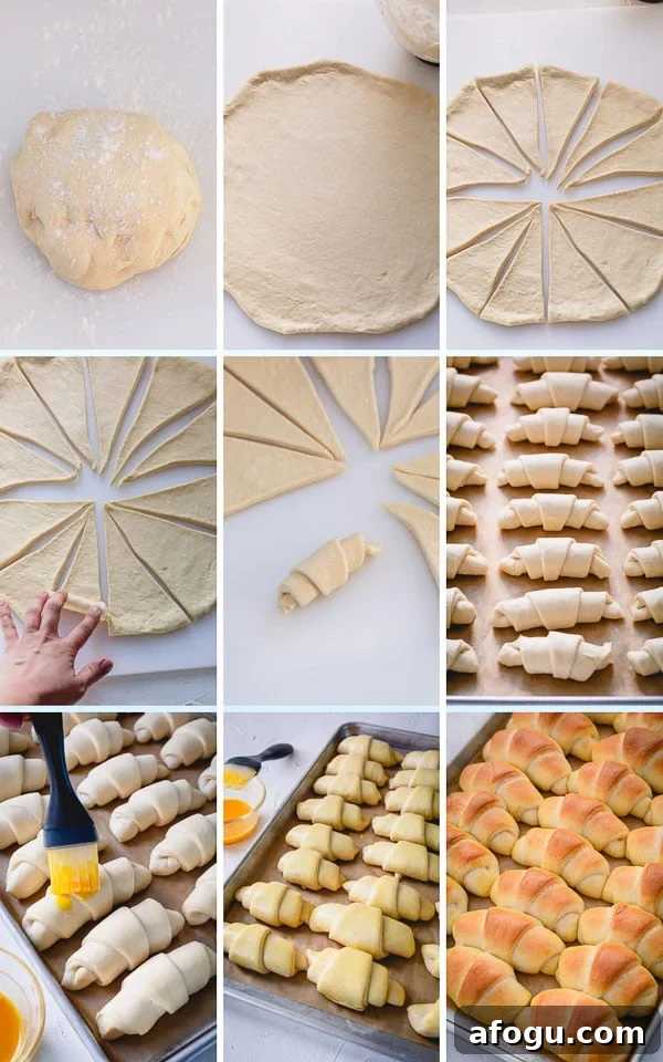 Making homemade dinner rolls may seem intimidating, but it doesn't have to. Let me teach you how to make rich and buttery dinner rolls with soft and tender crumbs with lots of tips and step by step photos!  #dinnerrolls #homemadedinnerrolls #breadrolls