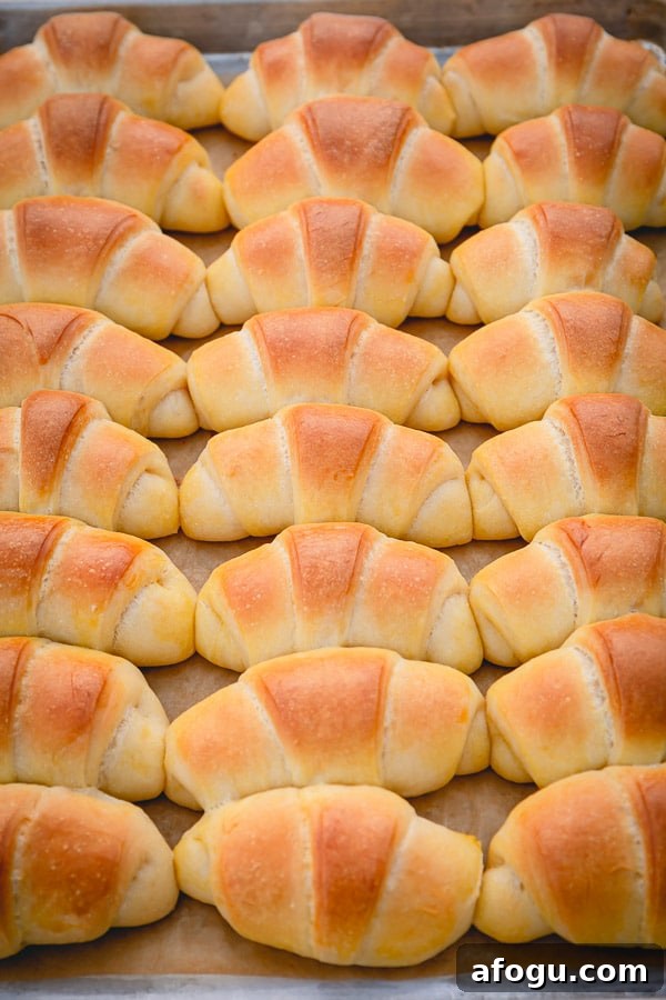 Making homemade dinner rolls may seem intimidating, but it doesn't have to. Let me teach you how to make rich and buttery dinner rolls with soft and tender crumbs with lots of tips and step by step photos!  #dinnerrolls #homemadedinnerrolls #breadrolls