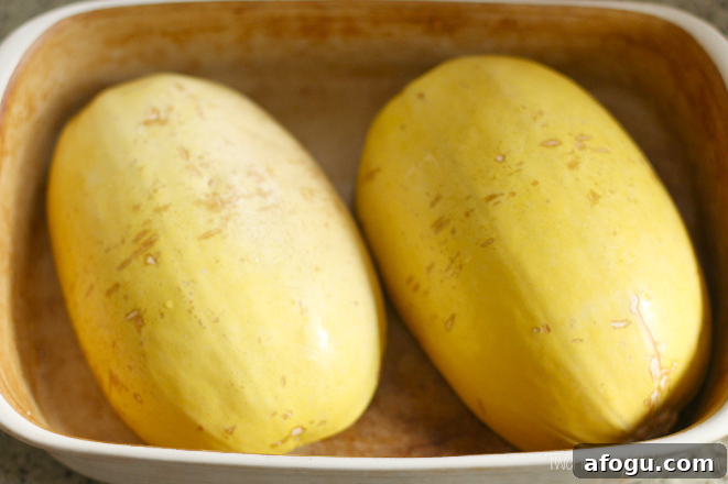 THK Spaghetti Squash4