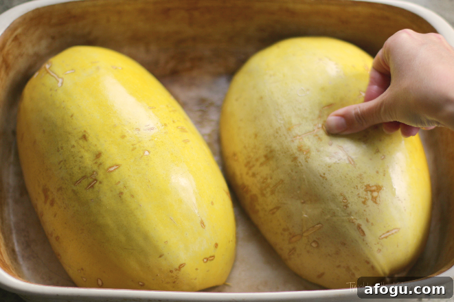 THK Spaghetti Squash5