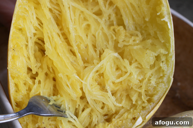 THK Spaghetti Squash3