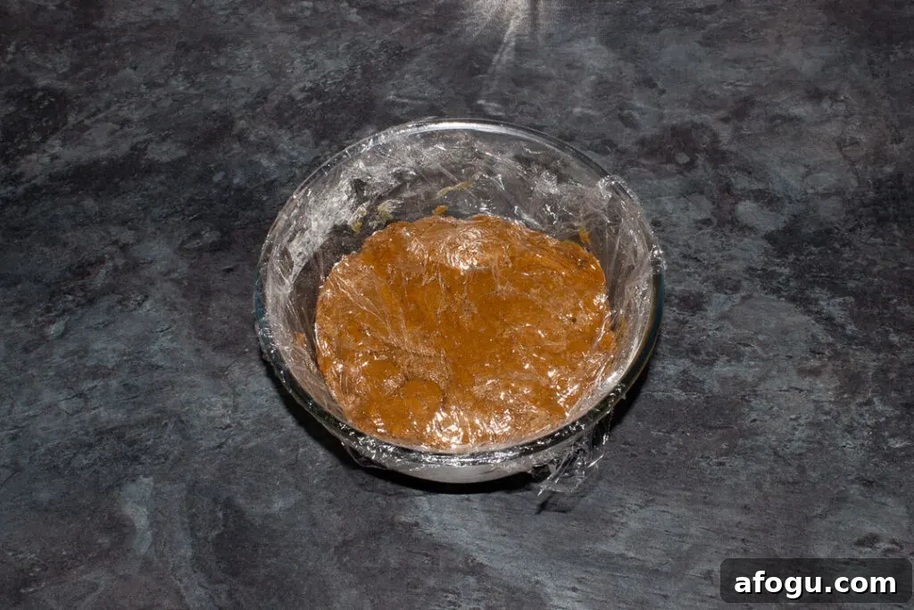 Classic Gingerbread Biscuit Recipe for Perfect Holiday Baking 13 Clingfilm covered gingerbread biscuit dough in a large bowl on a kitchen worktop.