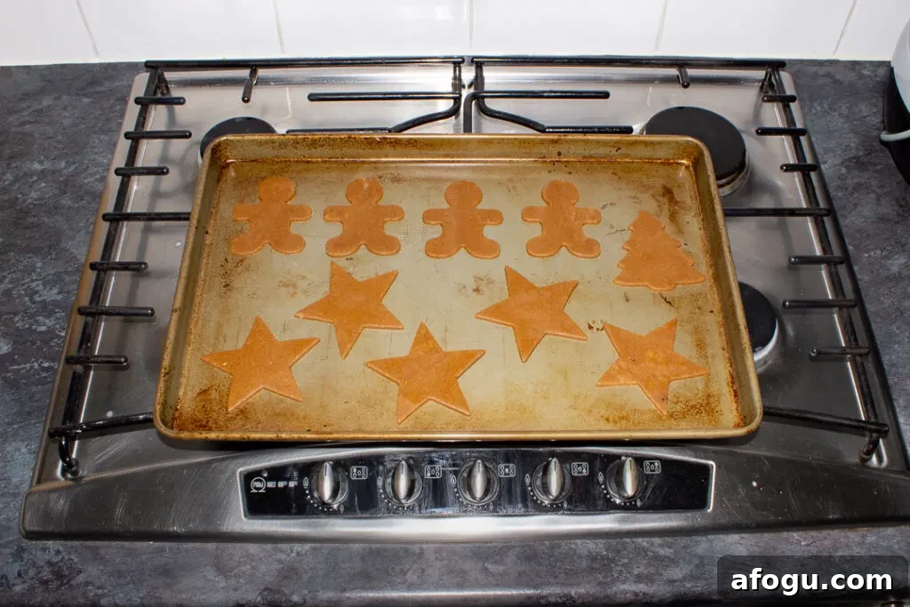 Classic Gingerbread Biscuit Recipe for Perfect Holiday Baking 15 Unbaked gingerbread biscuits on a large baking tray ready to go into the oven.